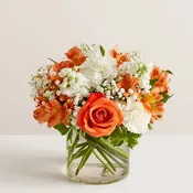 Loving Sentiments Orange, & White
