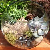 Terrarium Workshop — Portland Florist | AMANDA KARAM FLORAL Co.