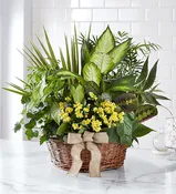 Mystic River Planter