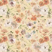 Bloomfield Ranunculus Blush