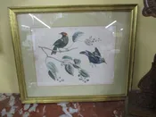 Pair of Vintage Bird Prints