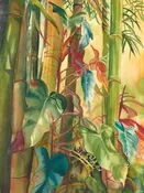 Bamboo Love – Giclée Print