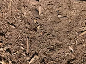 Eco Compost