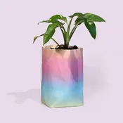 Happy Pot | Cheerful Decorative Planter