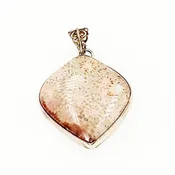 Fossilized Coral Pendant Sterling Silver