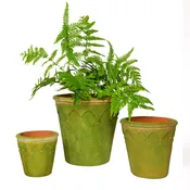 AGED HARLEQUIN PLANTERS