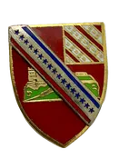 17th Field Artillery Regiment Pin