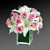 Pink and white