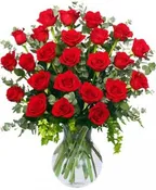 24 RADIANT ROSES