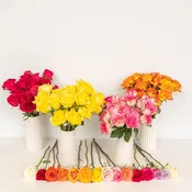 100 Roses for Mother's Day