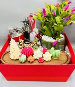 Succulent Gift Set A — Highway 92 Succulents