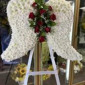 Angel Wings