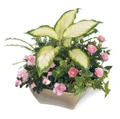 The FTD® Garden of Grace™ Planter