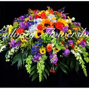 Sympathy of Colors Casket Spray