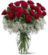 Field of Roses