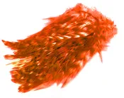 BARRED STRUNG NECK HACKLE. FL. FIRE ORANGE