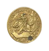 1920s Modern Health Crusader National Tuberculosis Assn. NY K.B. Pin