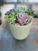 Salt and Succulents — Thistle Floral