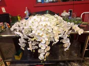 Cascading White Orchid Arrangement - Elegant Floral Centerpiece — A1 Flowers