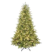 7.5′ Acadia Tree
