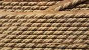 1/2" Beige, Light Sage and Taupe Decorative Cording With Lip - 5 Yards