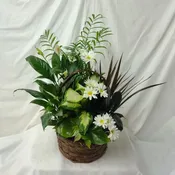 Planter - Deluxe