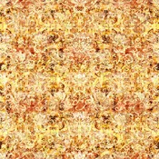 Heirloom Texture on Brown