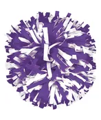 2-Color Plastic 6 Inch Pom