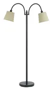 Double Gooseneck Floor Lamp