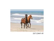 5×7 CWHF #9