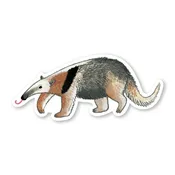 Anteater Sticker