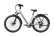 Asphalt ST Ebike