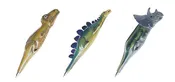 Dinosaur Ballpoint Pen Set