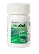 Ferrous Sulfate Tablet Delayed Release Enteric Coated 100 Counts