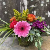 Bright Blooms