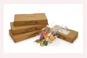 Krystalphane&reg; Clear Cello Bags – 1000 per Case.