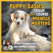 Puppy Basics 5-week Course with Michelle Martens at Jeffrey's North Beach (6:30pm starting Wednesday, June 17) — Jeffrey's Natural Pet Foods