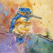 Baby Kingfisher #23