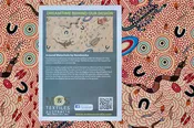 Around Waterhole - Ecru