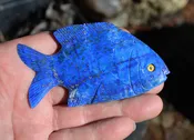 Lapis Lazuli Fish