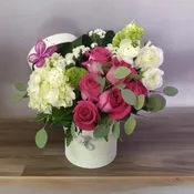 Amour 0031