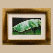 Banana Leaf I Print