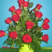 Statement of Love