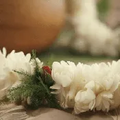 Double Tuberose