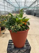 13" Planter Fall