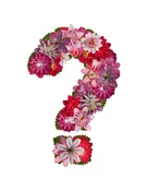 Florist’s Choice Mystery Bouquet