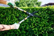 Lawn & Garden ProCare Service