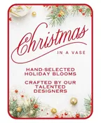 DESIGNER'S CHOICE CHRISTMAS IN A VASE