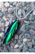 Real Beetle Wing Necklace