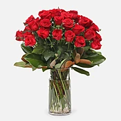4-Dozen Elegant Roses